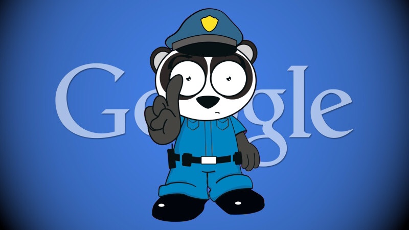 Google Panda Seo Specialist
